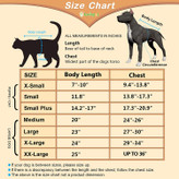 کت حیوانات خانگی سبک وزنی که ما طراحی کردیم دارای دکمه های چسبان یا نوار چسب یا پیراهن کش ورزش یا زیپ اختیاری است که بسیار دوستانه است و پوشیدن/درآوردن آن آسان است و در عین حال گرم و شیک خواهد بود!