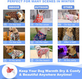 هودی های زمستانی عالی برای توله سگ من