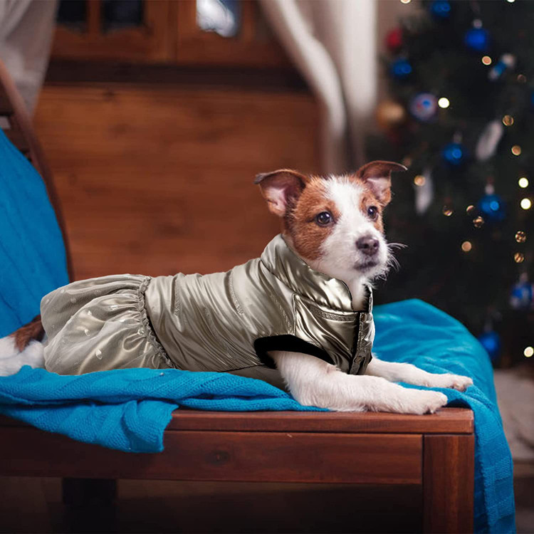 سطح براق طلایی و دامن توری با خال های رنگارنگ این لباس سگ را شیک و منحصر به فرد کرده است.