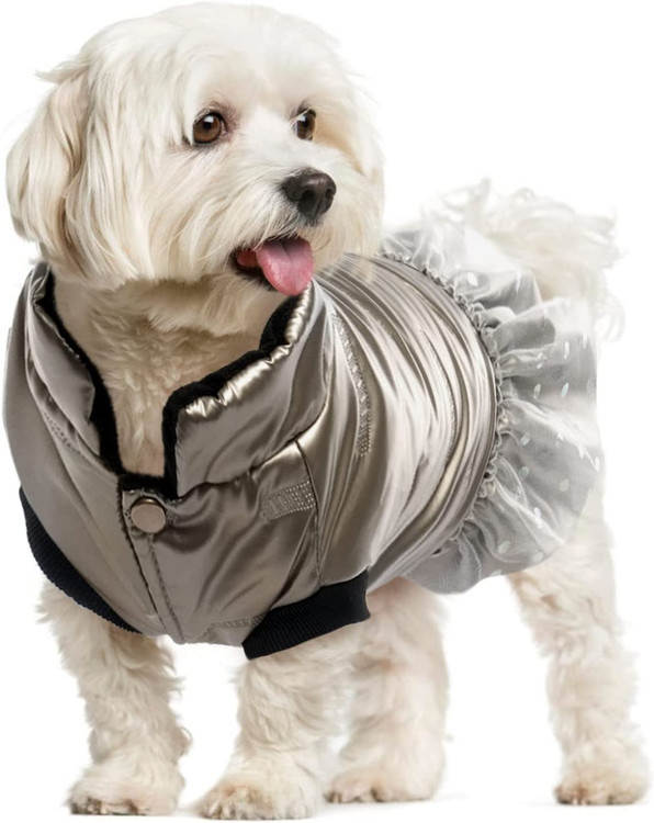 کت زمستانی سگ Lelepet، لباس سگ گرم برای هوای سرد، کت ضد آب ضد باد سگ دخترانه، کت سگ با آستر مخملی ضخیم و سوراخ افسار، لباس جلیقه حیوانات خانگی برای سگ های کوچک متوسط توله سگ برای زمستان