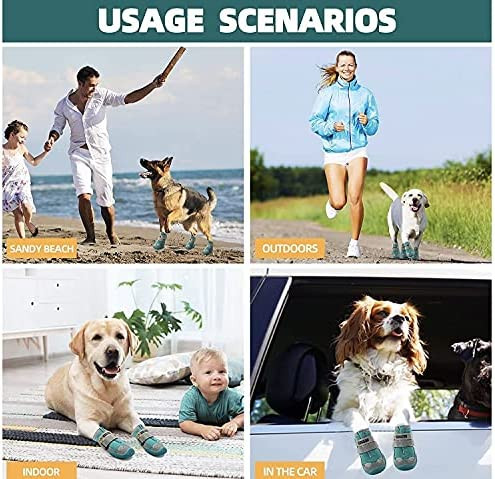 وقتی سگهای شما شروع به راه رفتن با کفشهای جدید میکنند، اما نه با سرعت معمولی، نگران نباشید