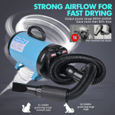 دمنده سشوار حرفه ای سگ با سرعت بالا سشوار حیوان خانگی مجهز به موتور قدرتمند و پایدار ارتقا یافته ما در سال 2022