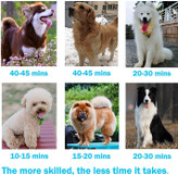 در زمان خشک کردن صرفه جویی کرده و از آسیب گرما به موهای سگ شما جلوگیری می کند. از گربه های کوچک گرفته تا نژادهای بزرگ مناسب است.