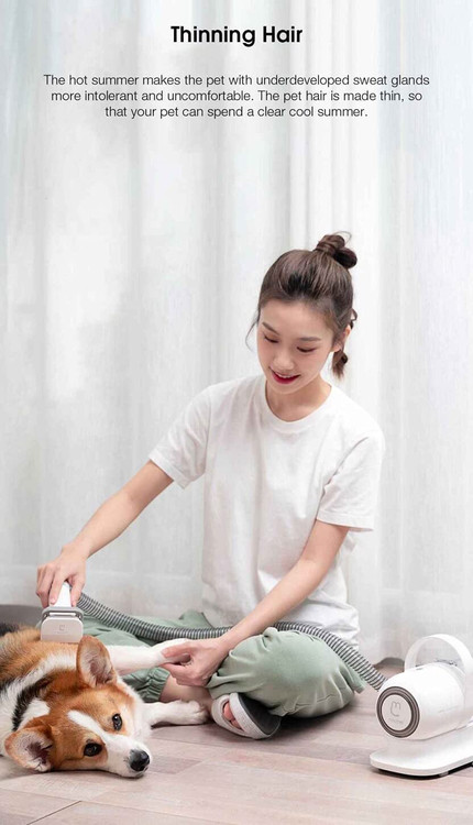 از 6 میلی متر، 12 میلی متر، 18 میلی متر و 24 میلی متر، برای رفع نیازهای مختلف ظاهر می شود.