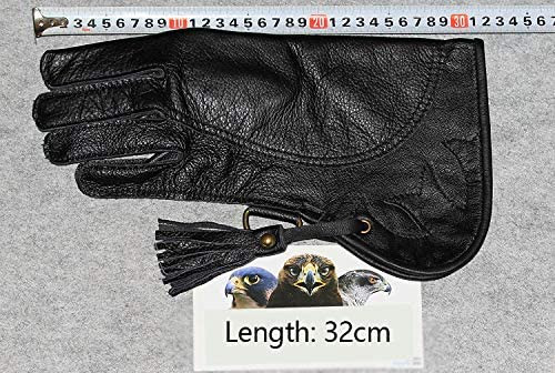 طول 32 سانتی متر می تواند شاهین عقاب بزرگتری را که به راحتی روی دست شما ایستاده است راضی کند