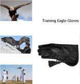 می تواند از خراشیدگی دست هنگام نگه داشتن عقاب جلوگیری کند. پنجه های عقاب تیز است و با دستکش های پارچه ای معمولی سوراخ می شود. دستکش مخصوص عقاب و شاهین دارای حالت دولایه برای جلوگیری از خراشیدگی است.