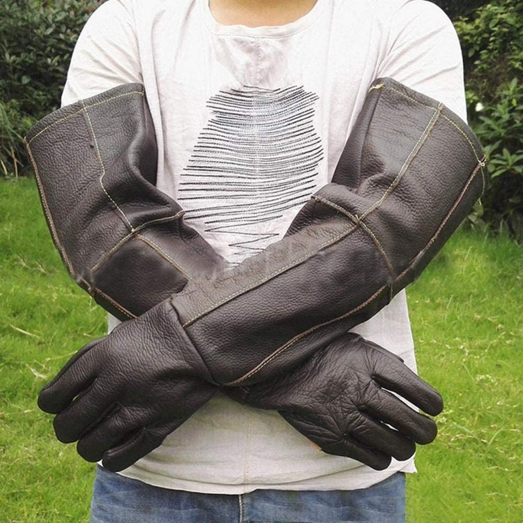 دست زدن به دستکش حیوانات می تواند از نیش یا خراش گربه، سگ، طوطی، سنجاب، چینچیلا، همستر، خرگوش و روباه جلوگیری کند.