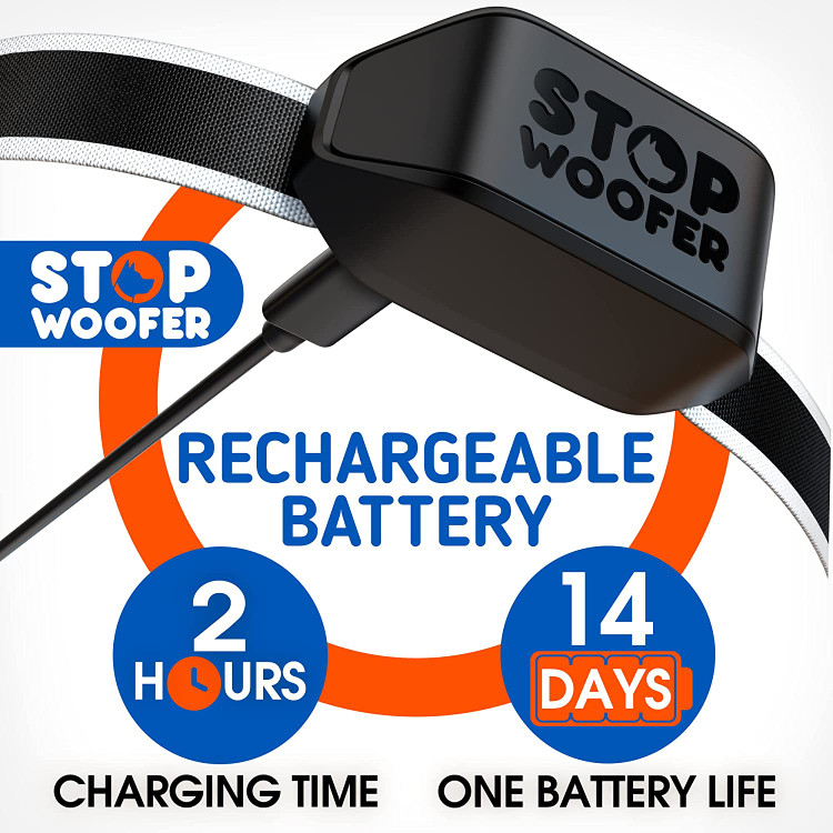 بدون قلاده پارس برای سگ ها از قرار گرفتن در معرض بیش از حد محافظت می کند