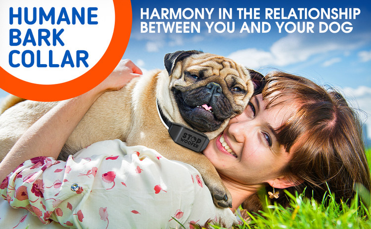 توصیه نژاد : مناسب برای همه نژادهای سگ.