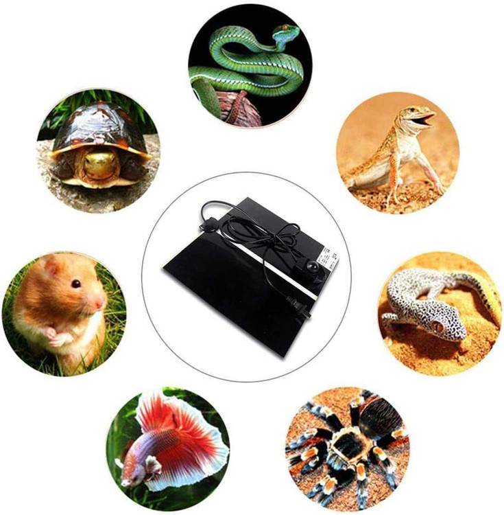 مخازن شیشه ای زمستانی و سرد ممکن است باعث مصرف گرما شوند، می توانید کنترلر را در موقعیت MAX تنظیم کنید یا چند فیلم عایق حرارتی نازک را در قسمت پایین لنت قرار دهید