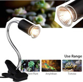 لامپ هالوژن با طیف کامل 3.0 قرار گرفتن در معرض نور خورشید را شبیه سازی می کند تا گرمای مورد نیاز برای رشد را برای حیوان خانگی شما فراهم کند.