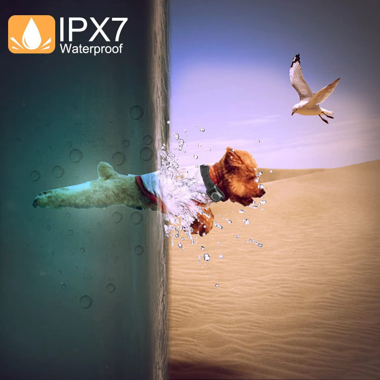 قلاده قابل تنظیم برای همه سایز سگ ها بند نایلونی قلاده قابل تنظیم است، طول آن از 8 تا 27 اینچ است و برای سگ های 8 تا 120 پوندی مناسب است. کنترل از راه دور به صورت ارگونومیک طراحی شده است