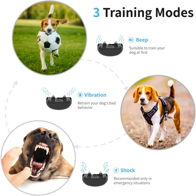 حالت حفاظت هوشمند و صفحه نمایش LCD بدون شوک تصادفی، اگر یک دقیقه بعد دستوری دریافت نشود، ریموت و گیرنده قلاده سگ به طور خودکار به حالت خواب زمستانی می روند که می تواند با سیگنال از راه دور بیدار شود