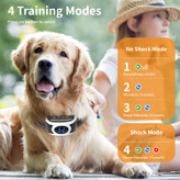 قلاده فقط زمانی فعال می شود که سگ شما با واکنش سریع پارس کند، به سگ خود آموزش به موقع و صحیح بدهید.