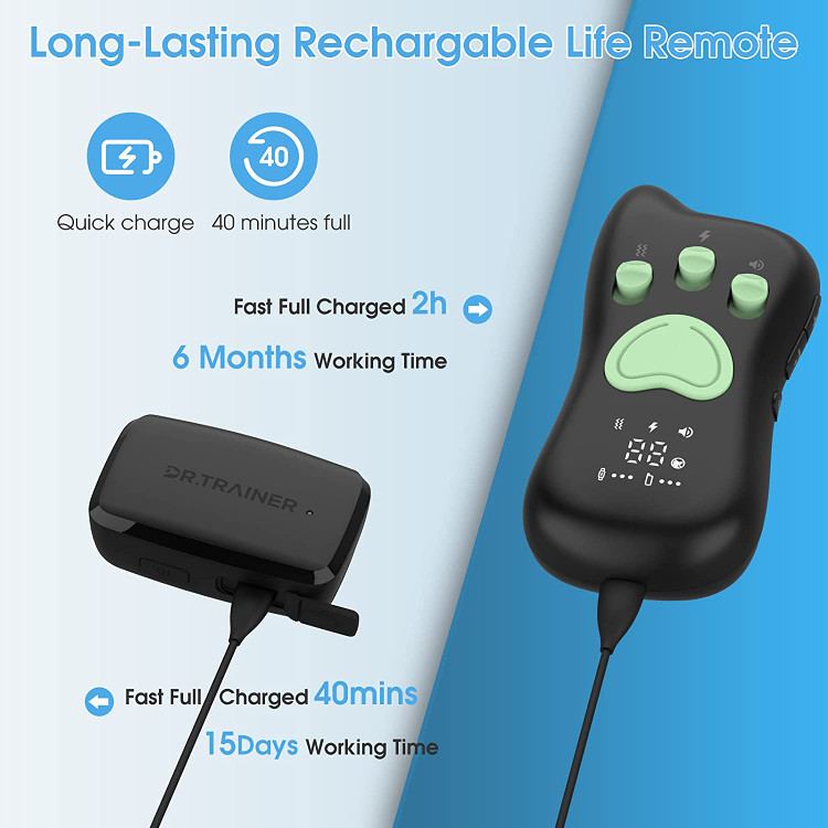 قلاده های ضربه ای T1sPro می توانند از پرخاشگری دور باشند و به شما کمک کنند رفتار خوب را به توله سگ خود آموزش دهید