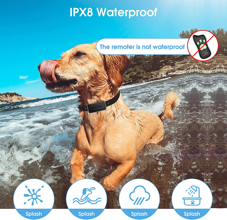 نه تنها می توانید از کنترل از راه دور برای کنترل سگ خود استفاده کنید، بلکه می توانید از APP و Watch برای آموزش از راه دور (50FT ) نیز استفاده کنید.