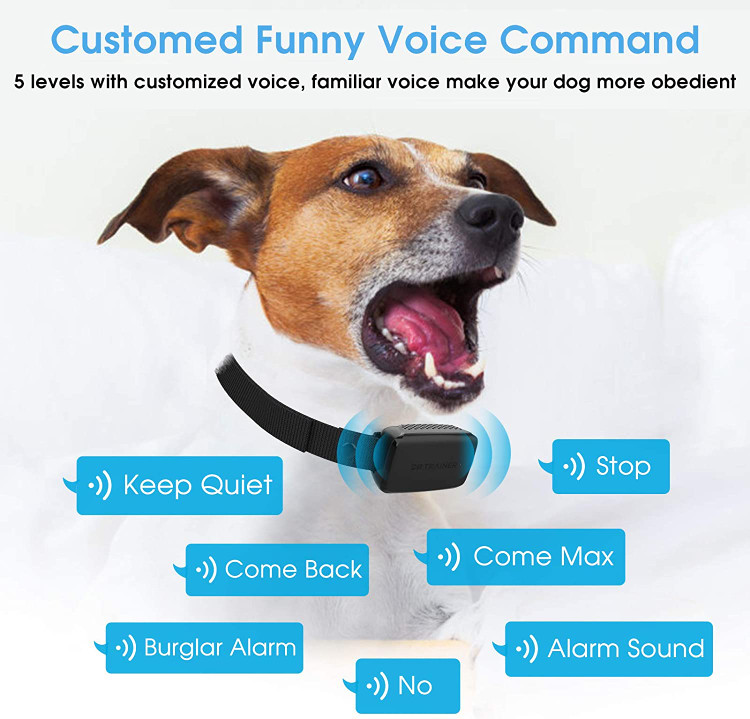 فناوری بیدار خودکار قابل لمس باعث صرفه جویی در مصرف انرژی می شود و تجربه کاربری بهتری را ارائه می دهد