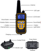 حتی اگر در آب غوطه ور باشد کار می کند و به سگ شما اجازه می دهد آزادانه با قلاده شنا کند یا حمام کند