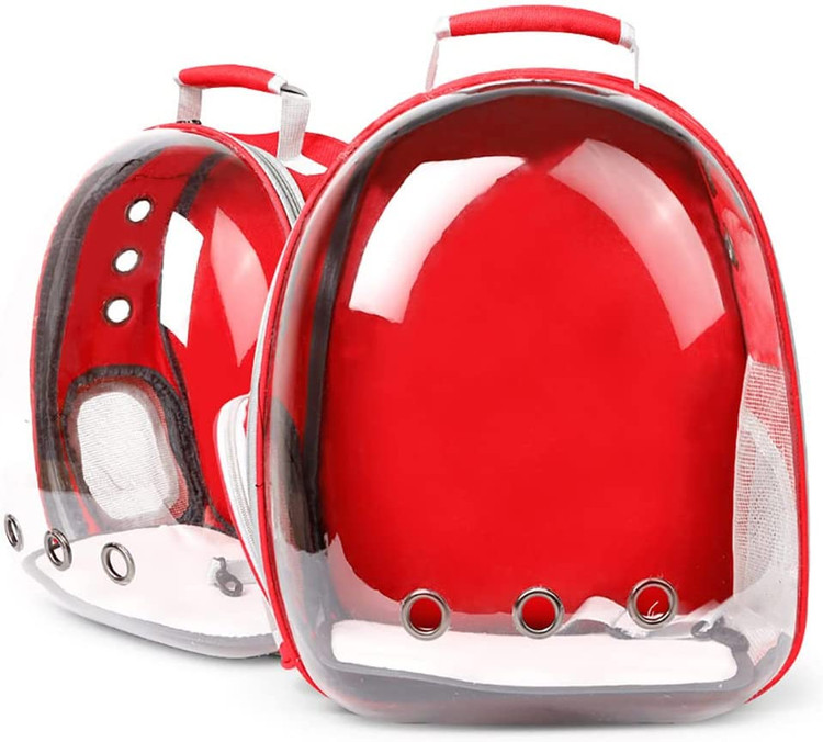 طراحی منحصر به فرد کپسول فضایی شفاف که ارتباط و تعامل بیشتری با حیوان خانگی خود دارد