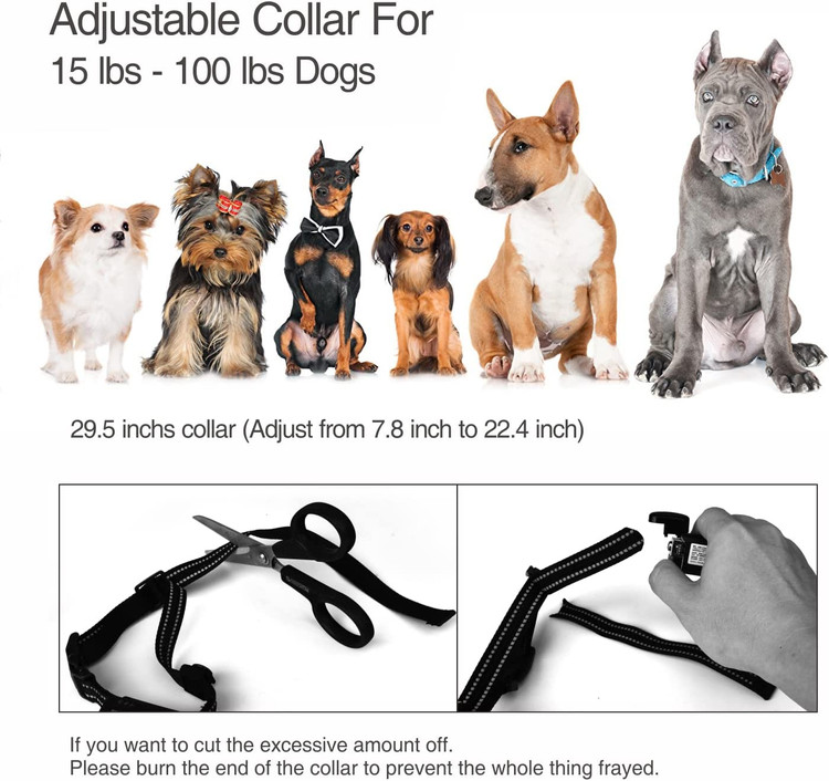 قلاده آموزش سگ شامل کابل شارژ Micro-USB به راحتی شارژ می شود. گیرنده می تواند حدود 7 روز در زمان کار و 10-15 روز در زمان آماده به کار دوام بیاورد و ریموت می تواند حدود 40 روز در زمان کار و حدود 90 روز در زمان آماده به کار دوام بیاورد.