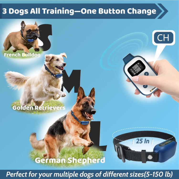 عادات خوب سگ را از سنین پایین پرورش دهید، یا رفتار بد موجود مانند پارس کردن سگ، راه رفتن، آموزش افسار، نشستن، پرخاشگری، ادرار کردن و غیره را اصلاح کنید