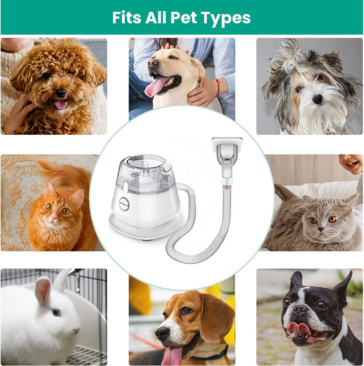 برس نظافت سگ و برس شستشوی سگ برای برس زدن و از بین بردن موهای شل و زائد استفاده می شود و موهای حیوانات خانگی را براق و صاف می کند.