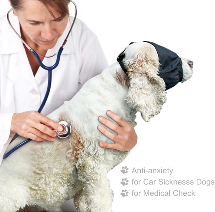 ماسک چشم سگ آرامبخش میتواند آرایش سگ را برای شما آسانتر کند