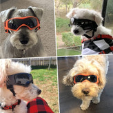 از چشمان سگ هنگام دویدن، اسکی و مسافرت محافظت کنید. آنها هپلر عالی برای محافظت از چشم در فضای باز هستند.