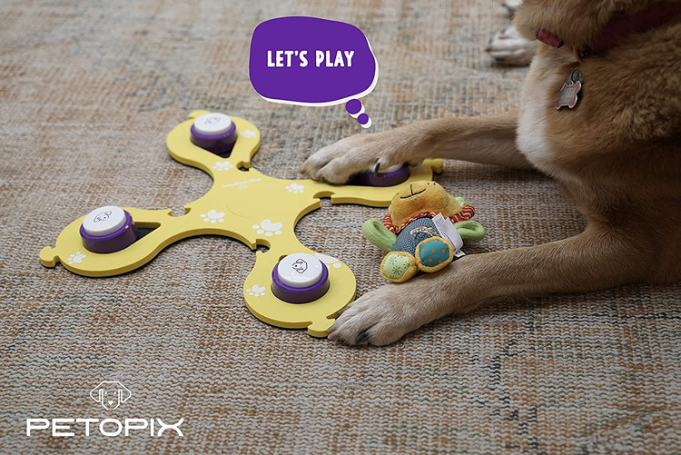 دکمه های ارتباطی سگ قابل ضبط 4 برابر با کیفیت صدای ارتقا یافته