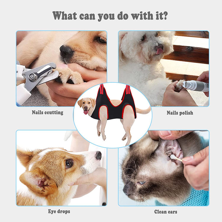 مناسب برای گربه ها، سگ های کوچک، سگ های متوسط زیر 30 پوند، به عنوان مثال: گربه، پودل، بیشون فریس، چیهواهوا، حنایی، پاگ، پاپیون، پامرانین، پکن، مالت، یورکشایر تریر و غیره.