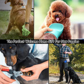 ست لوازم ضروری توله سگ، کیت آغازگر توله سگ 39 بسته برای سگ های کوچک و متوسط، هدیه ای عالی برای خوش آمدگویی به خانه برای توله سگ های جدید