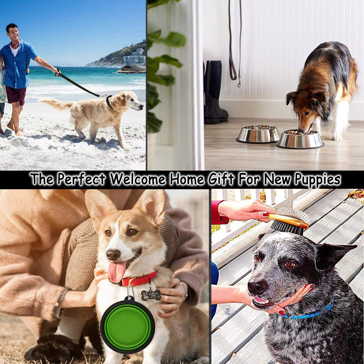 اسباب بازی های سگ/پتوهای تخت سگ/لوازم نظافت توله سگ/لوازم آموزش توله سگ/لوازم جانبی افسار سگ/لوازم تغذیه و آبیاری.به مدفوع غذا بدهید