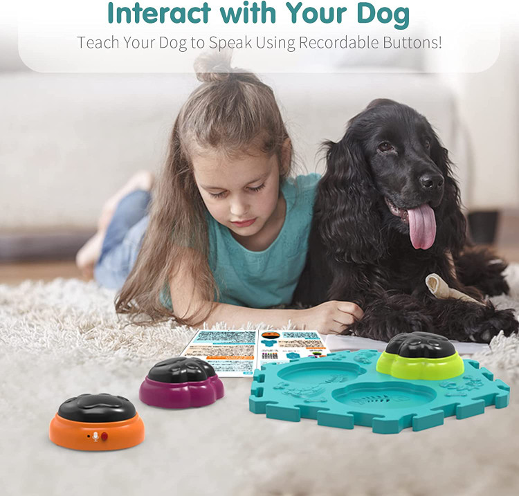 هدایای ایده برای سگ برای صاحبان هدیه دادن به سگ یا دوستانی که سگ دارند بسیار مناسب است