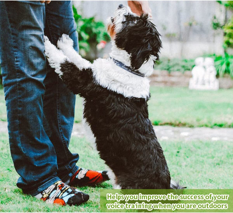 دکمه چشمک زن LED یک موتور قدرتمند است و جذابیت بصری اضافی به طور موثر توجه حیوان خانگی شما را برای بهبود فرآیند یادگیری جلب می کند.