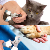 اگر مورد علاقه شما هنوز از مسواک زدن لذت نمی برد، باید بین برس و حیوان خانگی خود اعتماد ایجاد کنید. به آرامی شروع کنید، ابتدا آن را نشان دهید و از آن در دلپذیرترین نقطه استفاده کنید