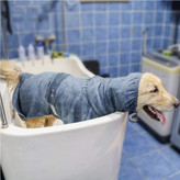 این یک راه عالی برای بازگرداندن سریع سگ ها به داخل است، زمانی که آنها عاشق شنا هستند. لباس حمام در زمان حمام بسیار سریعتر خشک می شود.