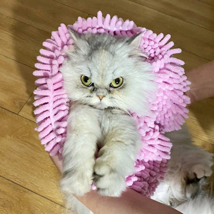 ضخامت مخملی 1 اینچ، کیفیت عالی دارد و پس از چند بار استفاده همیشه نرم و سریع خشک می شود و بدون مشکل ریزش الیاف آزاردهنده مو نمی ریزد. قابل شستشو با دست و ماشین.