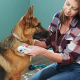 فقط آن را از روی موی حیوان خانگی خود شانه کنید - شانه کک الکترونیکی یک بار الکتریکی خفیف آزاد می کند که کک ها را بیهوش می کند و می کشد.