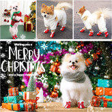 کفش های سگ شیک و خنده دار با تم کریسمس برای سگ های کوچک.