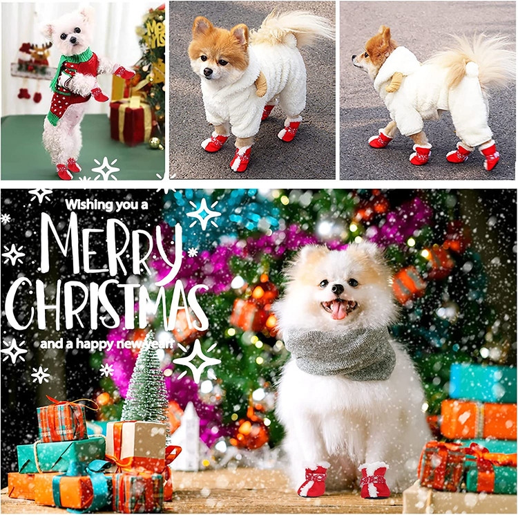 کفش های سگ شیک و خنده دار با تم کریسمس برای سگ های کوچک.