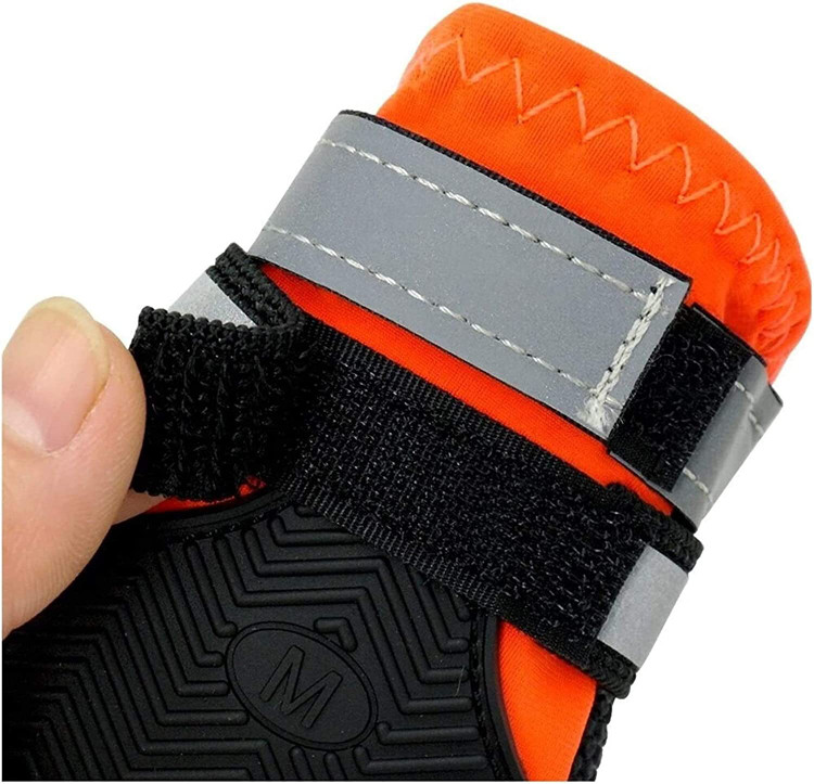 پاهای سگ را در روزهای بارانی خشک نگه دارید و کف را لکه نکند.