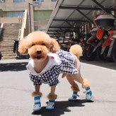 پارچه های با کیفیت بالا، بسیار سبک و نرم لمس می شوند، هیچ آسیبی برای پنجه های حیوانات خانگی شما ندارد. طراحی شیک برای سگ های دوست داشتنی شما چشم نواز می کند.