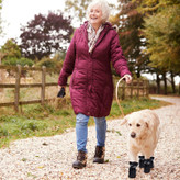 کفش سگ ، چکمه های محافظ سگ چکمه های ضد لغزش