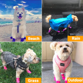 پنجه را روی یک تکه کاغذ قرار دهید و روی آن را فشار دهید، تقلید از نحوه پخش شدن پنجه هنگام راه رفتن سگ.