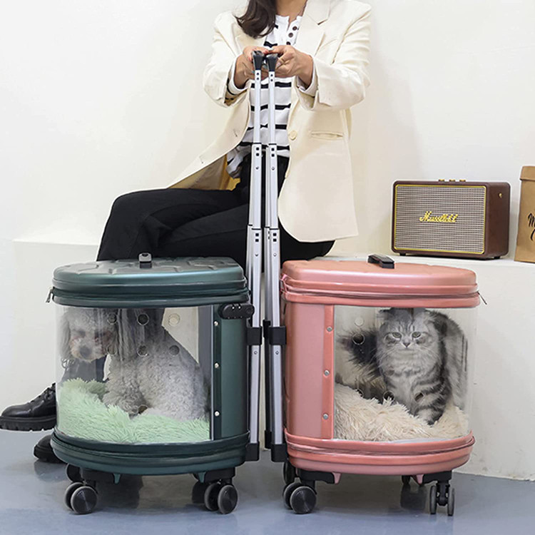 یک تجربه ایده آل برای سفر با سگ، گربه یا دوست پرنده خود به نحوه حمل آنها بستگی دارد