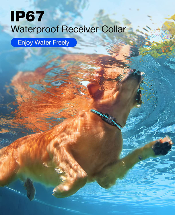 این به سگ های سرکش و سرسخت شما کمک می کند یاد بگیرند که عضو بهتری از خانواده شما باشند.