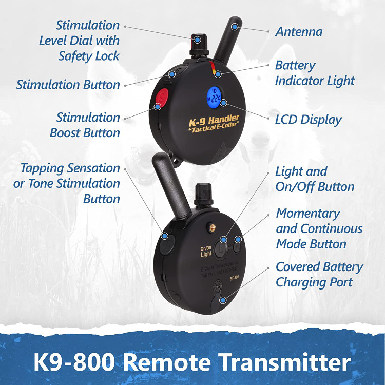 با کنترلهای بصری، میتوانید چشمان خود را روی سگ نگه دارید و اصلاحات سریع و مؤثر انجام دهید