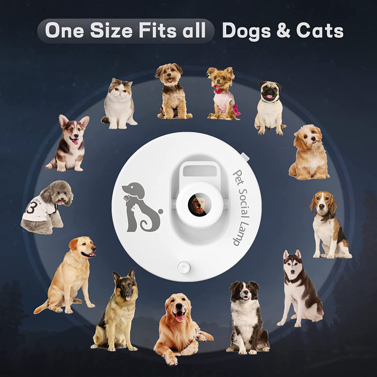 هنگامی که به طور کامل شارژ می شود (یک ساعت)، این چراغ قلاده سگ شخصی تا 8 ساعت عمر باتری دارد