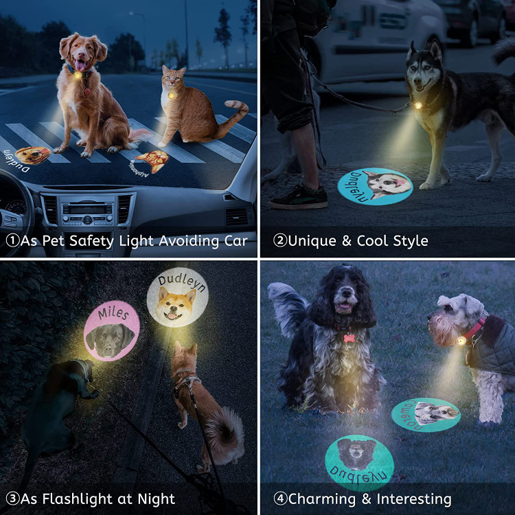 حیوان خانگی شما تبدیل به جالبترین حیوان خانگی خواهد شد! توجه: میتواند از روش پخش نور اجتماعی برای نشان دادن نام حیوان خانگی و عکس زیبا به عابران استفاده کند .