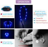 در منطقه تاریک روشن هستند، دید و ایمنی نهایی را برای حیوان خانگی شما فراهم میکنند